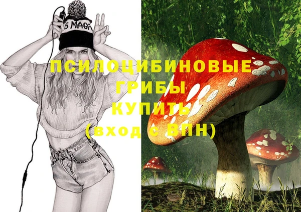 Альфа ПВП Лагань