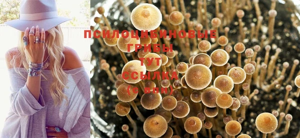 Альфа ПВП Лагань