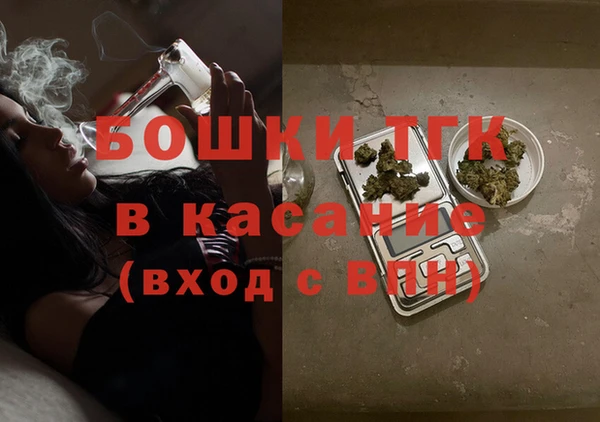 Альфа ПВП Лагань