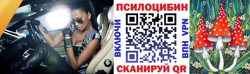 Галлюциногенные грибы Psilocybine cubensis  Холмск 
