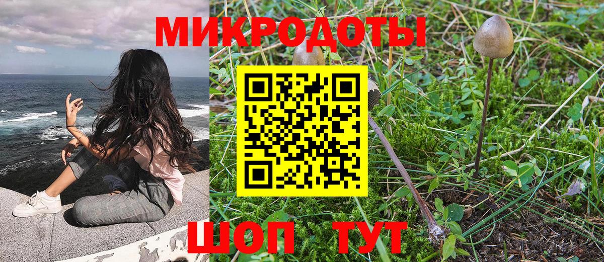 Псилоцибиновые грибы Magic Shrooms  Вход с VPN  Галлюциногенные грибы Psilocybe  Холмск 