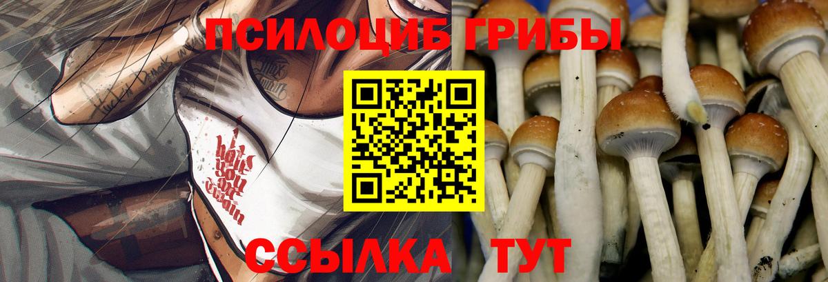 Галлюциногенные грибы мухоморы Холмск